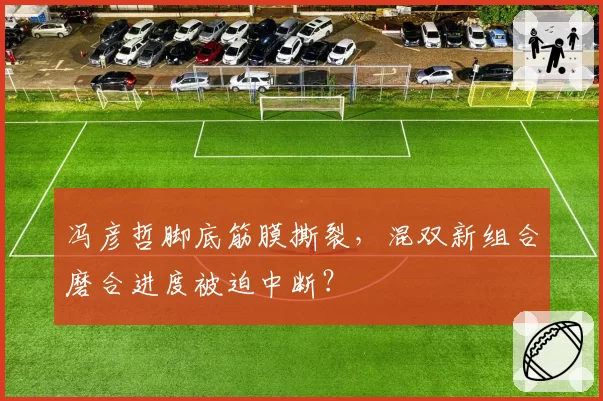 冯彦哲脚底筋膜撕裂,混双新组合磨合进度被迫中断?